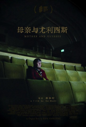 母亲独自一人坐公交，只为看儿子的电影首映
